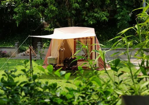 Tent-mark Migrateur
