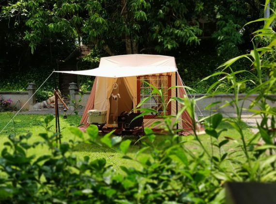 Tent-mark Migrateur