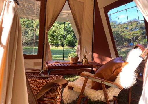 Tent-mark Migrateur