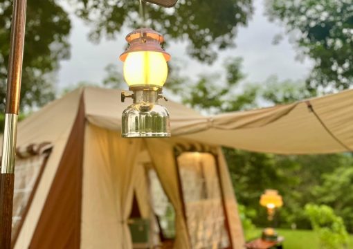 Tent-mark Migrateur
