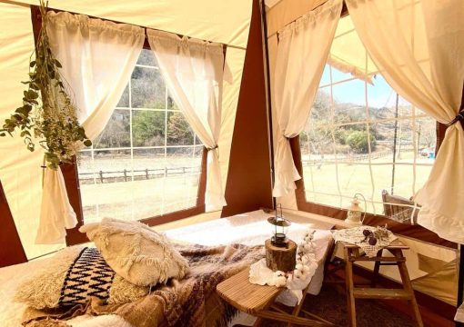 Tent-mark Migrateur