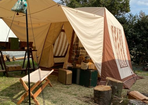Tent-mark Migrateur