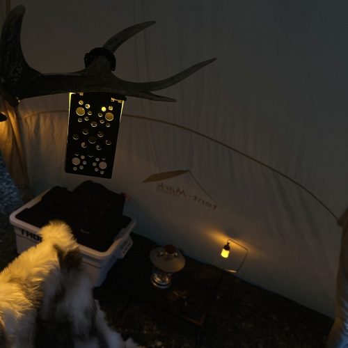 Tent-mark Circus
