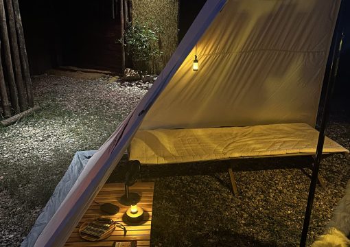 Tent-mark Circus
