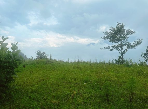 Sân Cỏ Cắm Trại
